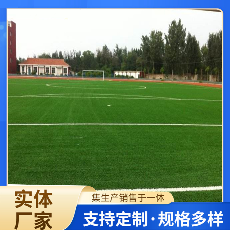 齐齐哈尔市学校塑胶跑道人造草坪 - 价格